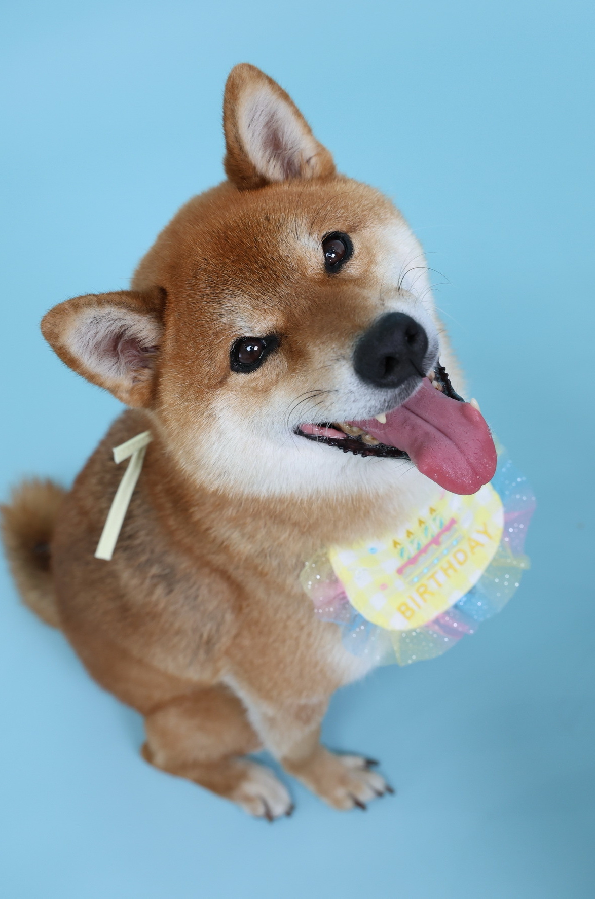 帽子をかぶったお誕生日の赤ちゃん