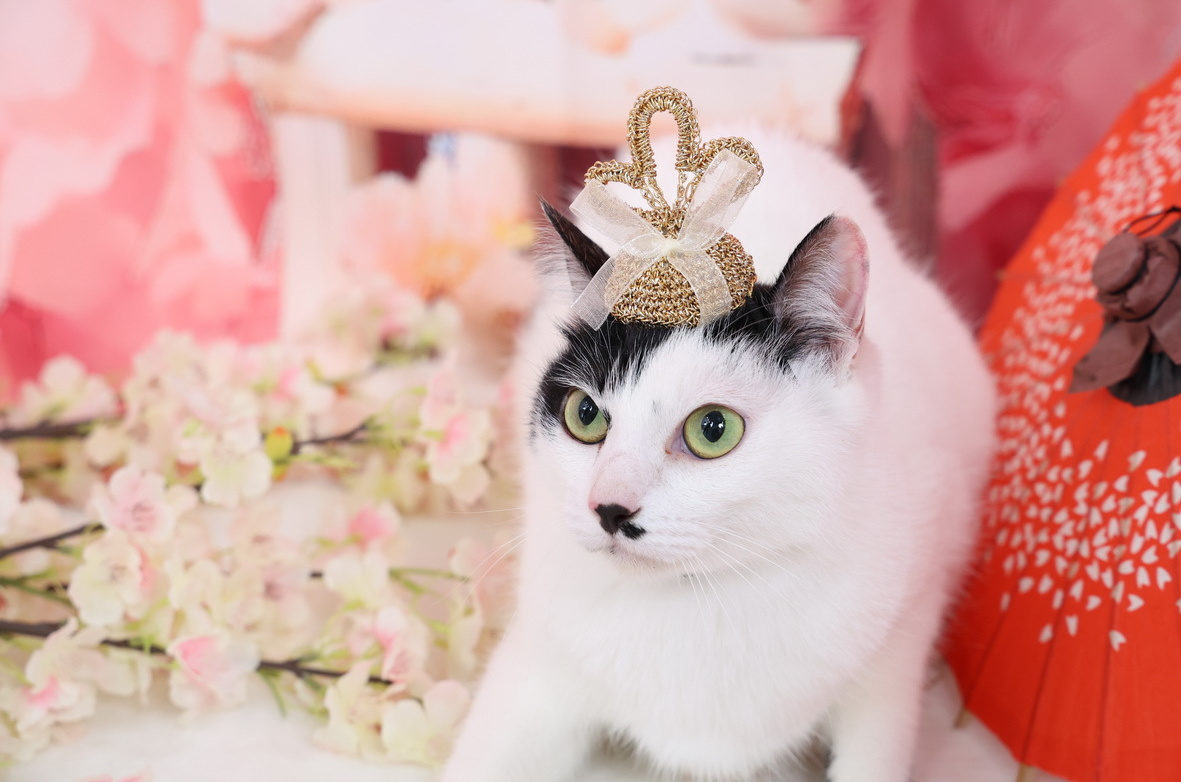 バースデイバナーとお誕生日の赤ちゃん