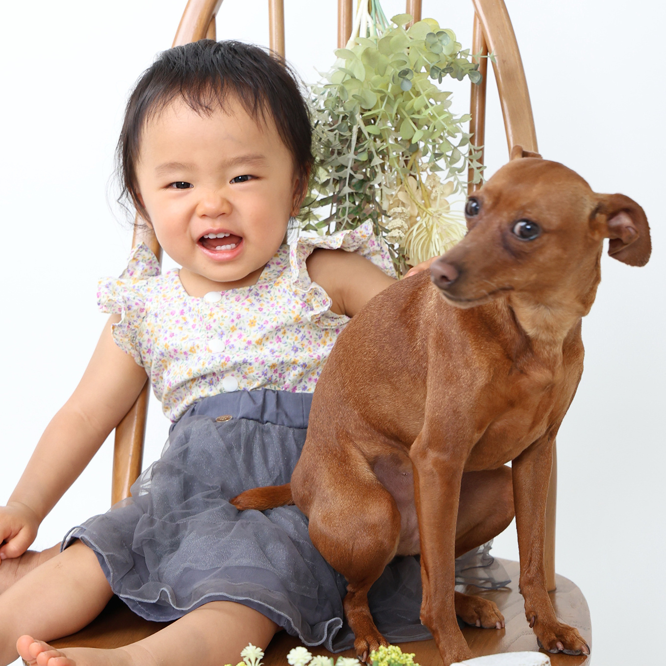 赤ちゃん誕生日写真